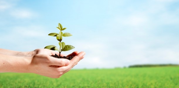  Goals That Focus On Self-Improvement Are Called